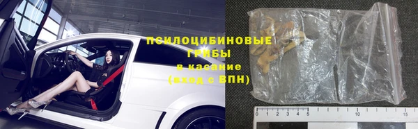 мдпв Лагань