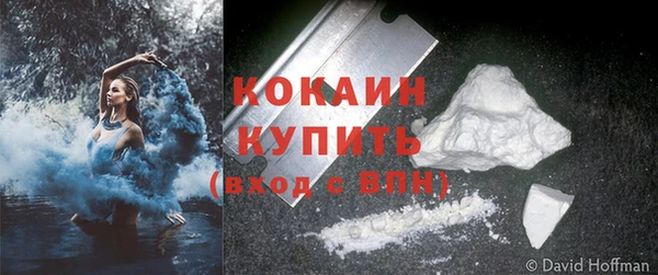 гидра Ладушкин