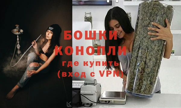 мдпв Лагань