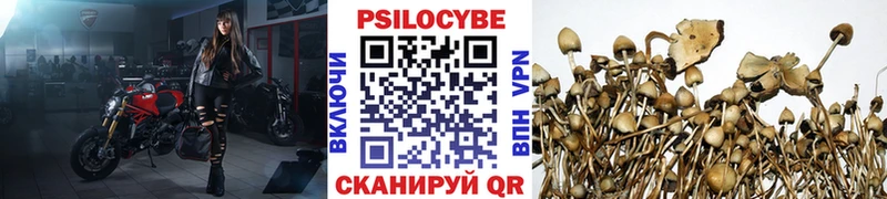 Псилоцибиновые грибы Cubensis Монино