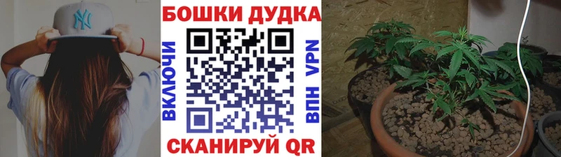 Конопля план  цены наркотик  mega вход  Монино 